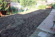 20240615-184604.JPG