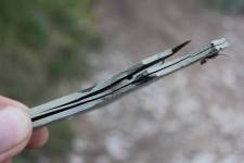 FF140730-150354.JPG