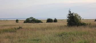 FF140730-203628.JPG
