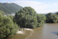FF140819-095822.JPG