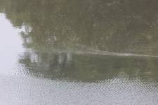 FF160708-094730.JPG