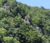 FF20230718-163626.JPG