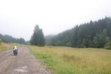 FF20230719-095134.JPG