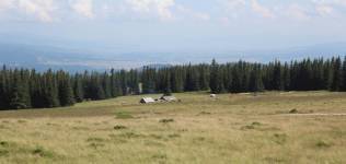 FF20230719-163106.JPG