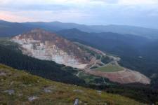 FF20230719-204152.JPG
