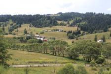 FF20230720-142446.JPG