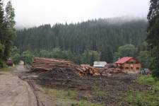 FF20230721-074258.JPG