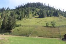 FF20230721-101410.JPG