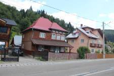FF20230721-110154.JPG