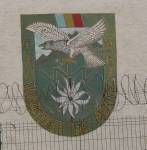 FF20230721-114556.JPG