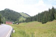 FF20230721-131502.JPG