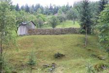 FF20230722-091742.JPG
