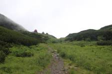FF20230722-131626.JPG