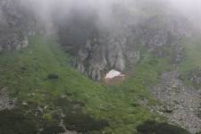 FF20230722-132728.JPG