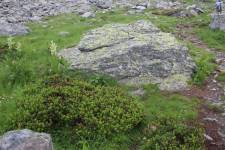 FF20230722-134606.JPG