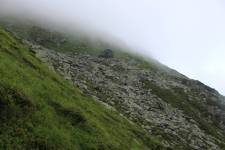 FF20230722-161326.JPG