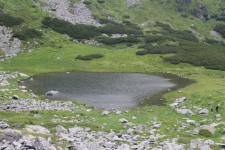 FF20230722-164508.JPG