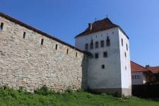 FF20230724-103640.JPG