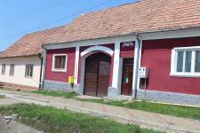 FF20230724-120514.JPG