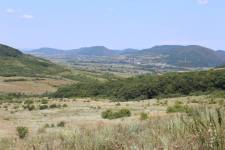 FF20230724-125650.JPG