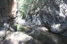 FF20240806-172304.JPG