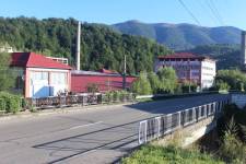 FF20240807-075248.JPG