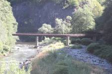 FF20240807-101552.JPG