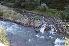 FF20240807-101602.JPG