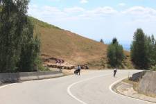 FF20240808-134842.JPG