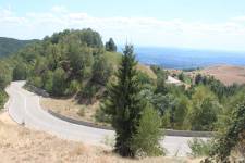 FF20240808-135836.JPG