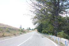 FF20240808-150506.JPG