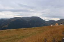 FF20240809-100050.JPG