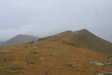 FF20240809-113118.JPG