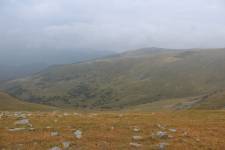 FF20240809-113126.JPG