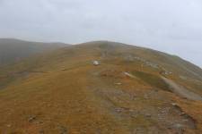 FF20240809-113132.JPG