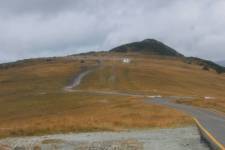 FF20240809-135050.JPG