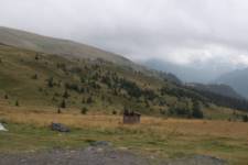FF20240809-164302.JPG