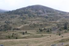 FF20240809-164450.JPG