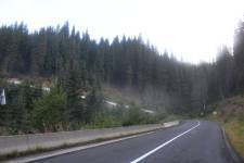 FF20240810-073952.JPG