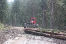FF20240810-094530.JPG