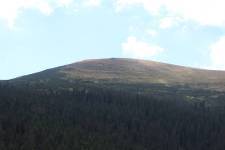 FF20240810-113028.JPG