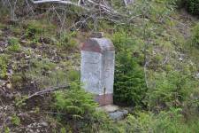 FF20240810-113508.JPG