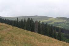 FF20240810-114308.JPG