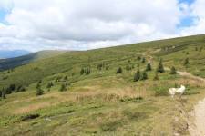 FF20240810-132622.JPG