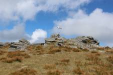 FF20240810-135132.JPG