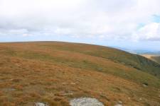 FF20240810-140050.JPG