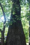FF20240811-164520.JPG