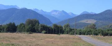 FF20240812-093616.JPG